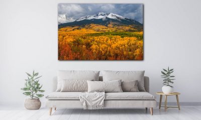 living room with a big photo of nature