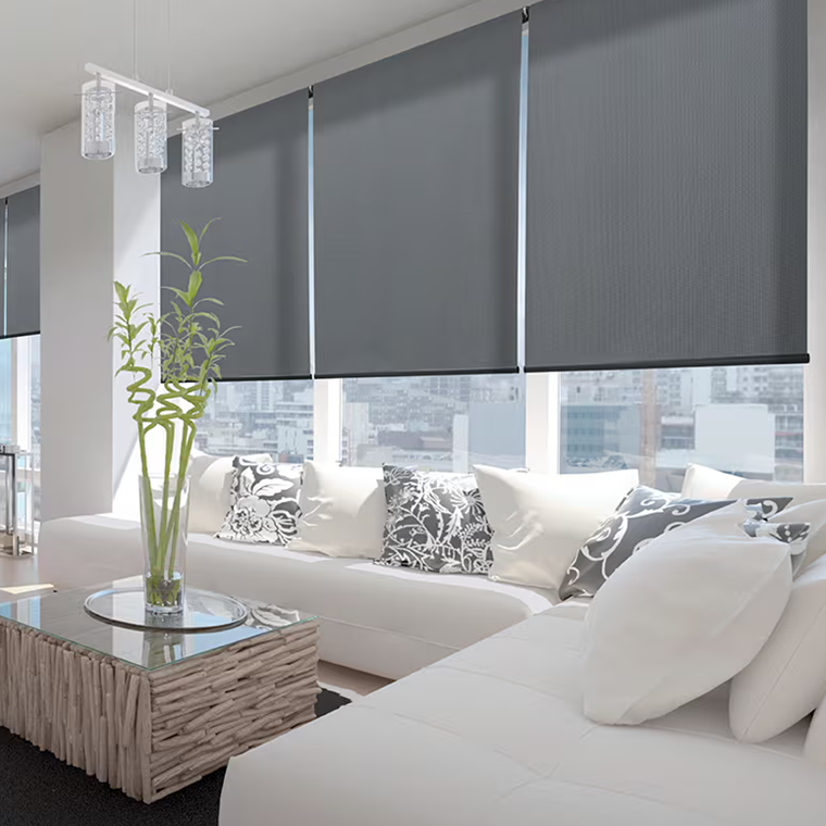 MAISONWOLFE Roller Blinds 