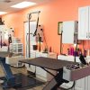 a grooming salon with quality Pet Grooming Accessories