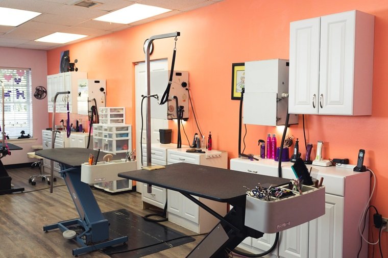 a grooming salon with quality Pet Grooming Accessories