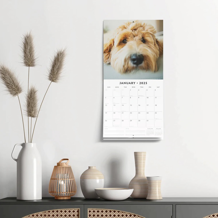 Labradoodles 2025 Square Wall Calendar